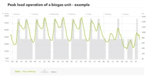 operation of a biogas plant